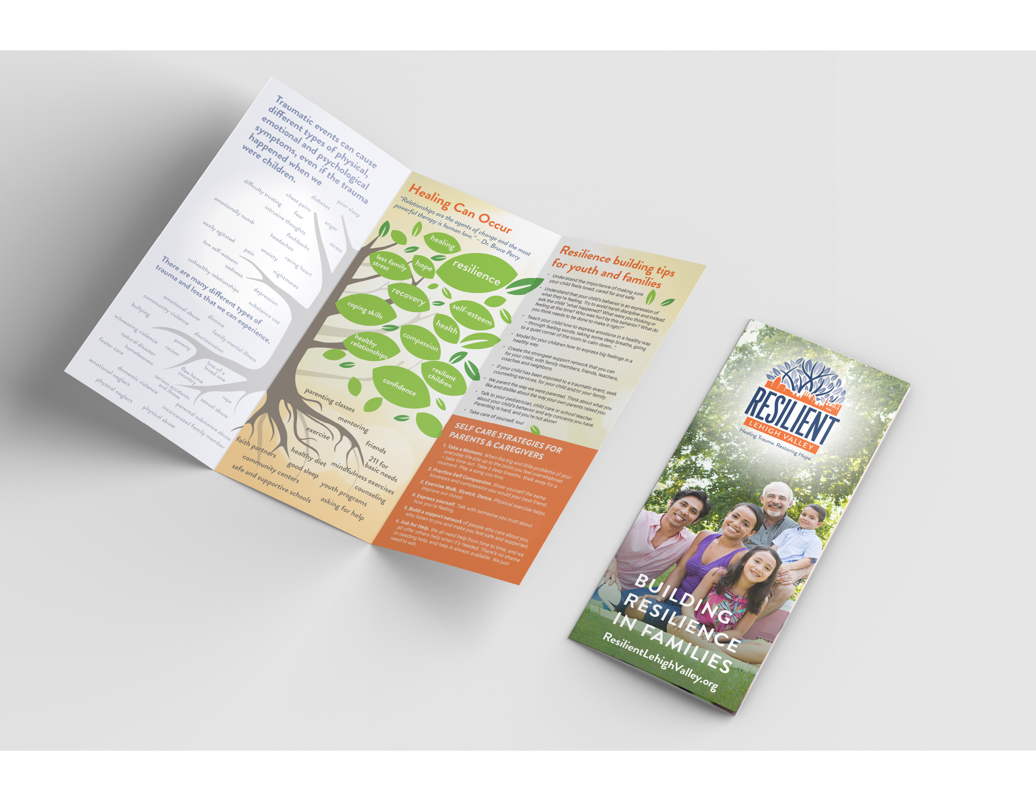 Resilient Lehigh Valley — brand application