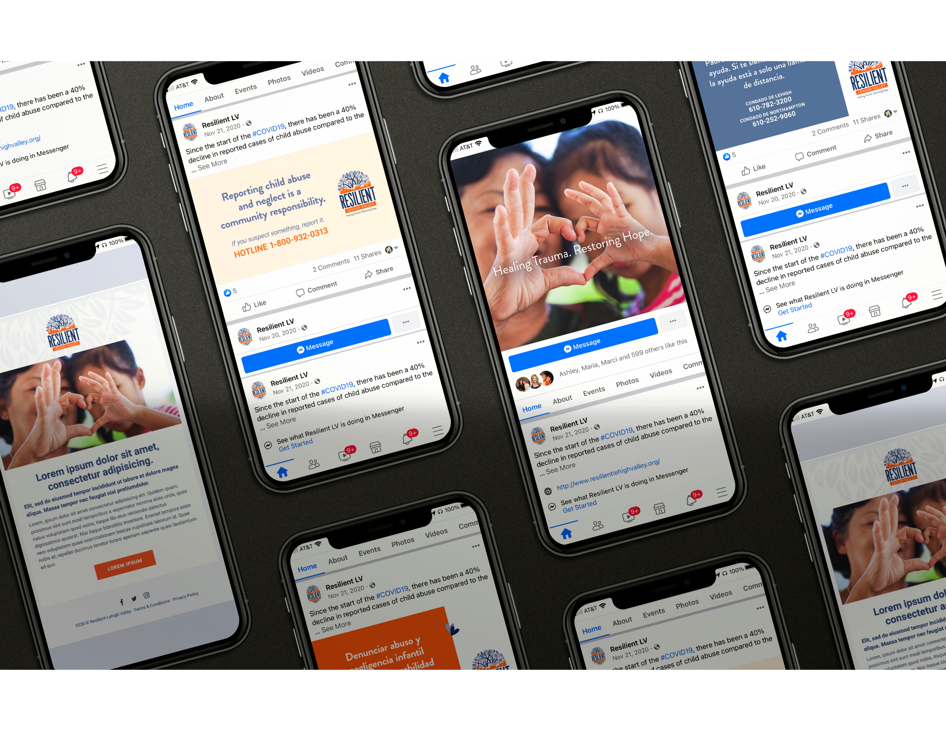 Resilient Lehigh Valley — brand application