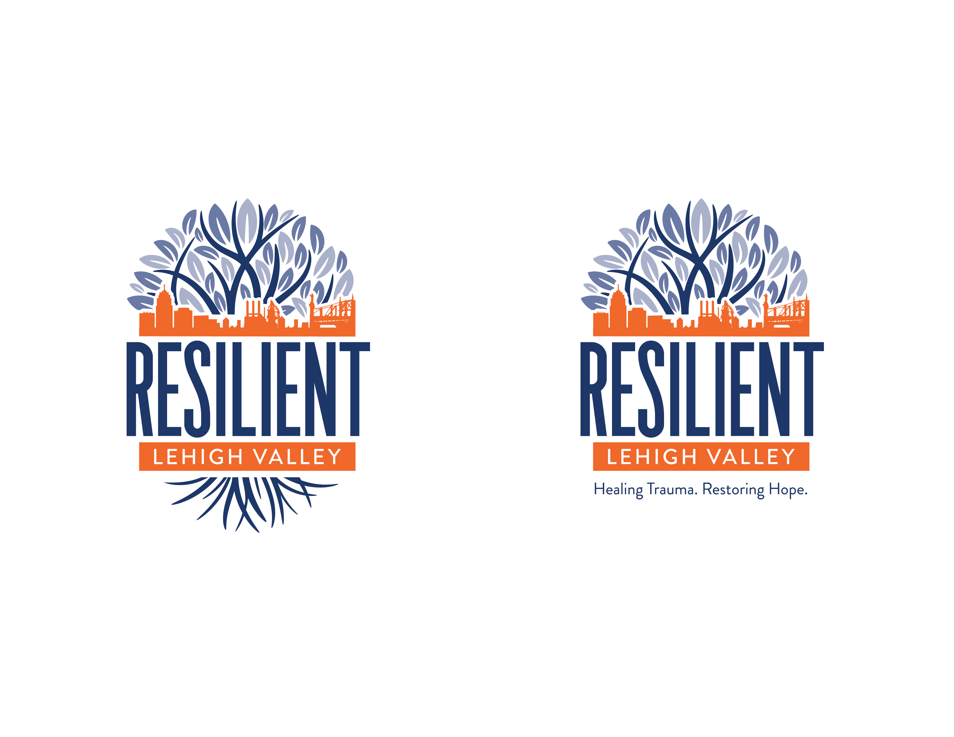 Resilient Lehigh Valley — web design