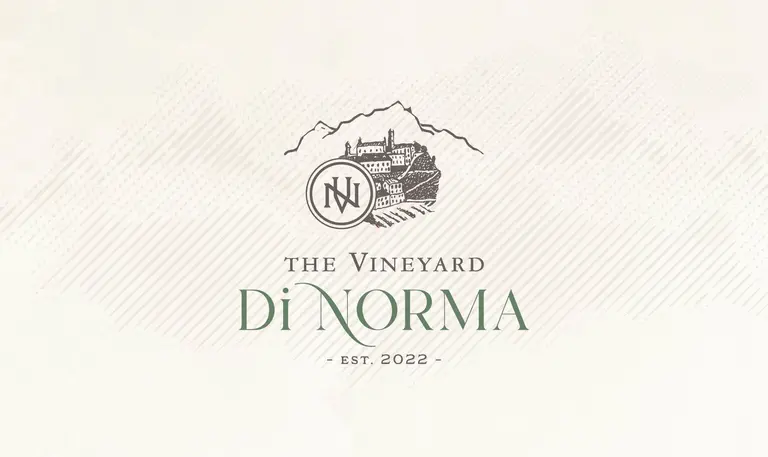 The Vineyard Di Norma identity